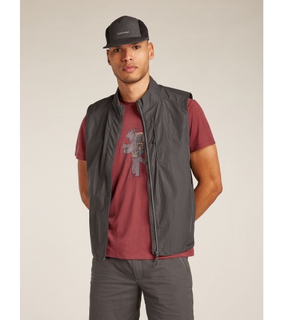 Тениска ICEBREAKER M M CORE SS TEE T HEAD Summer 2025